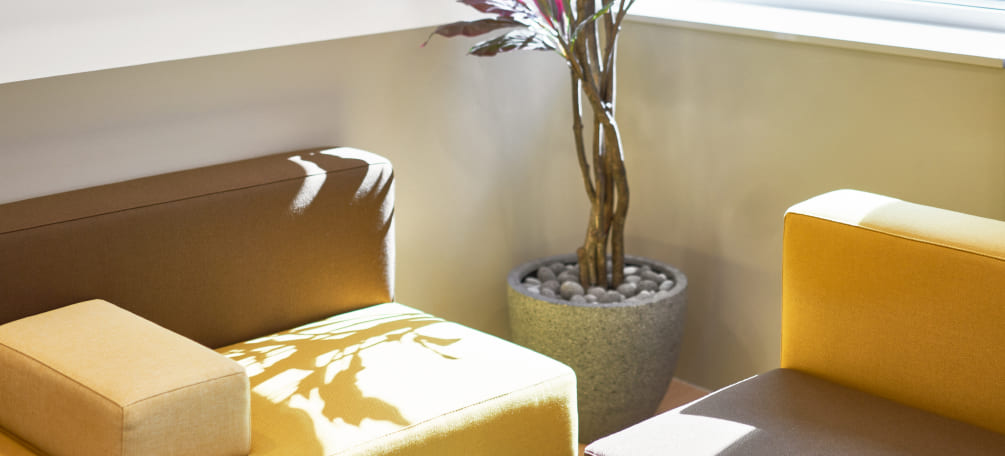 패파가 업계 1위가 될 수 있었던 공간 디자인의 비결